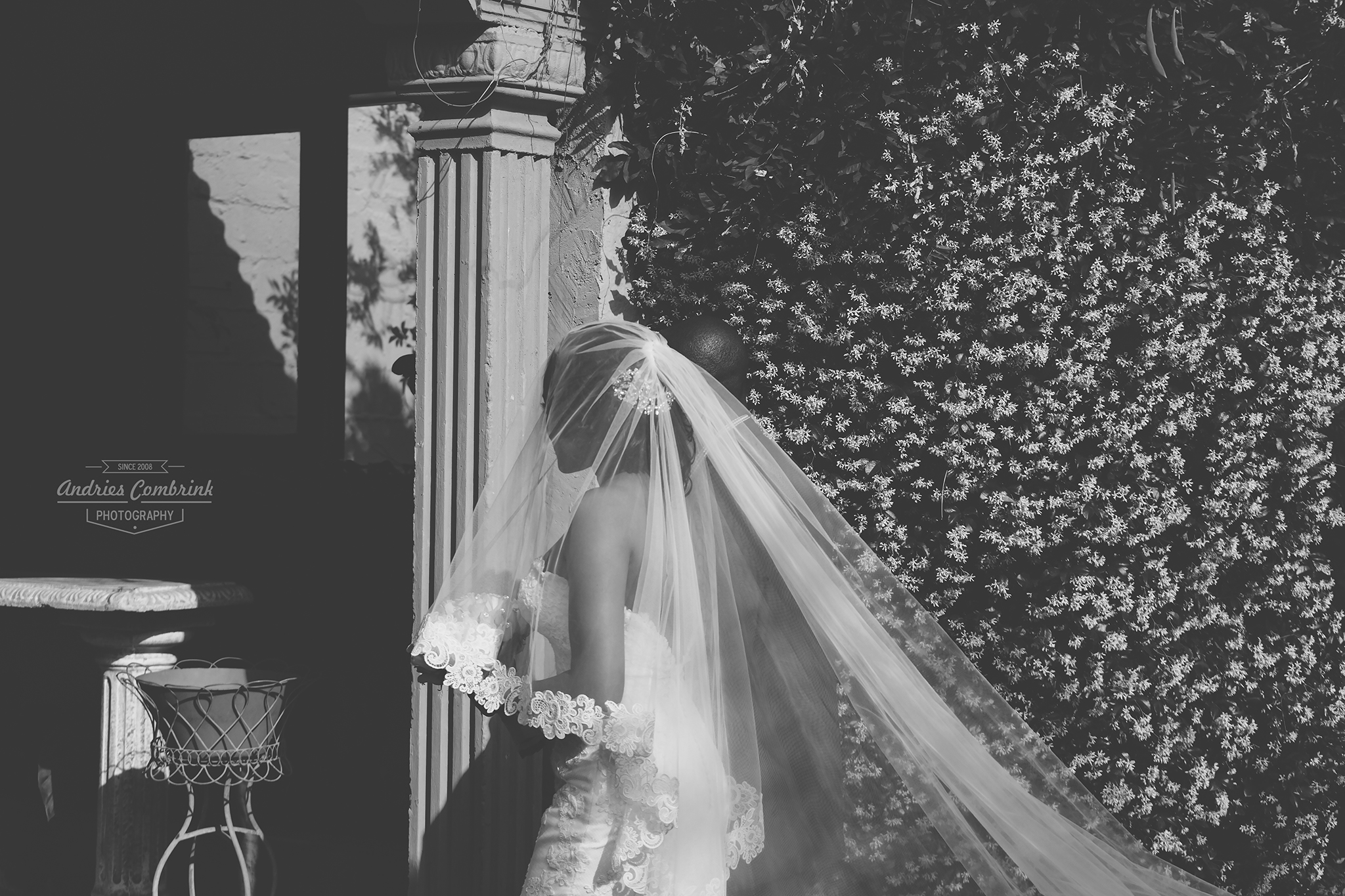 oakfield farm bride+veil